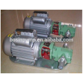 Cheap Electric Gear Pump (WCB-30)